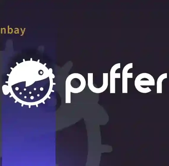 Puffer Finance